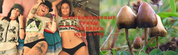 прущая мука Волоколамск